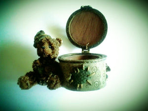Teddy bear trinket holder box hinged great new product excellent quality